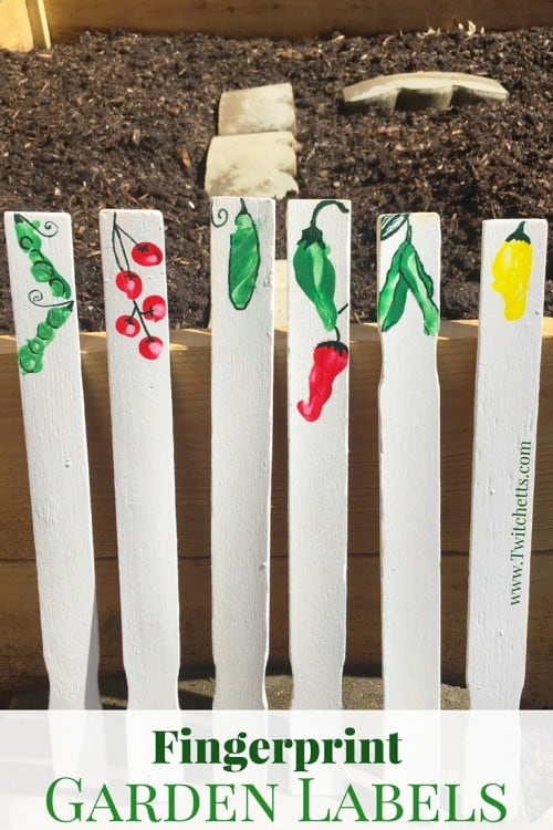 These easy garden markers fun to make with your kids. They will love making these fingerprint garden labels!
