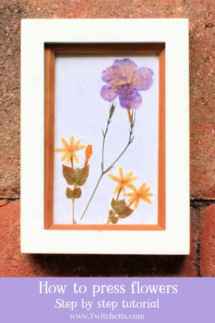 Check out this tutorial for the best way to press flowers with kids. They can collect the flowers, press them, and arrange a beautiful piece of artwork. It’s a fun spring activity for kids that has been around for ages. #twitchetts