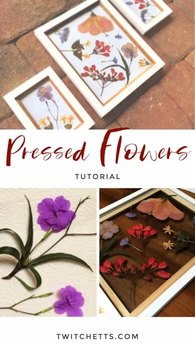 Pressed Flowers Crafts