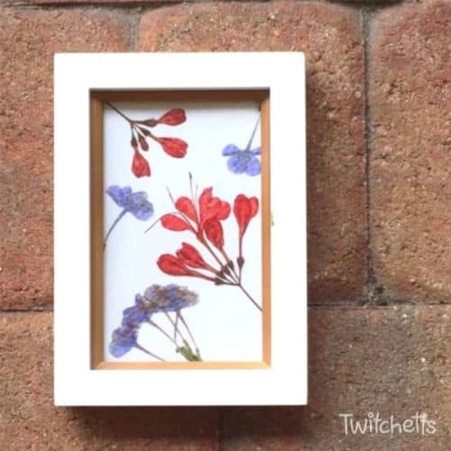 Best way to press flowers for framing Twitchetts