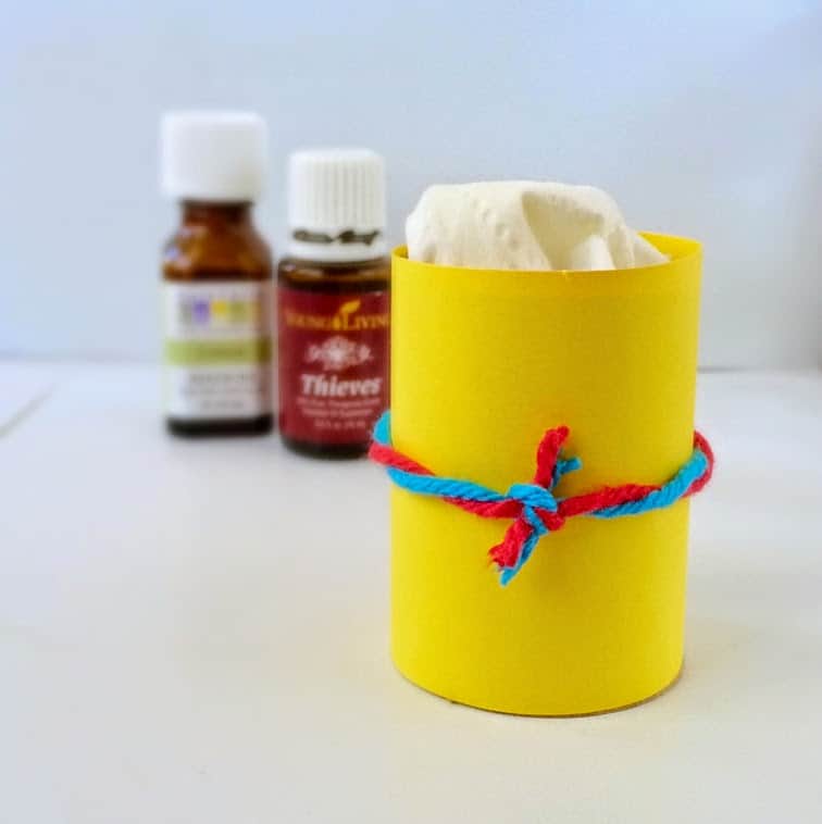 DIY Air Fresheners-Diffuse Essential Oils using simple toilet paper tubes. Great way to upcycle tp roles. Quick, Easy, and Inexpensive.