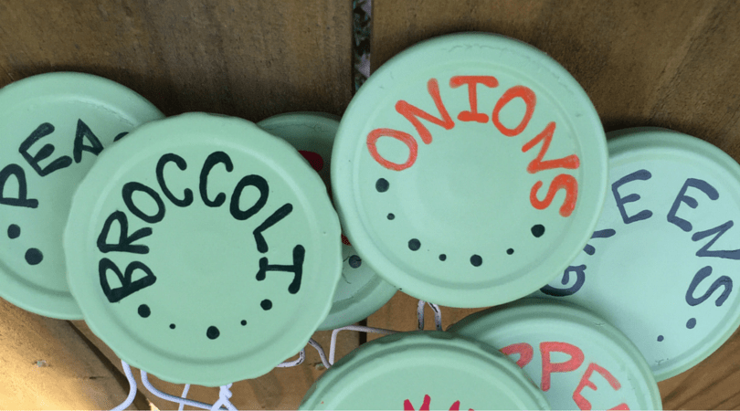 Label your fruits, veggies, and herbs with these cute upcycled garden labels.