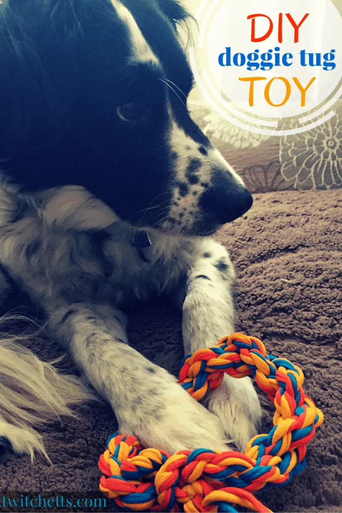 DIY doggie tug Toy