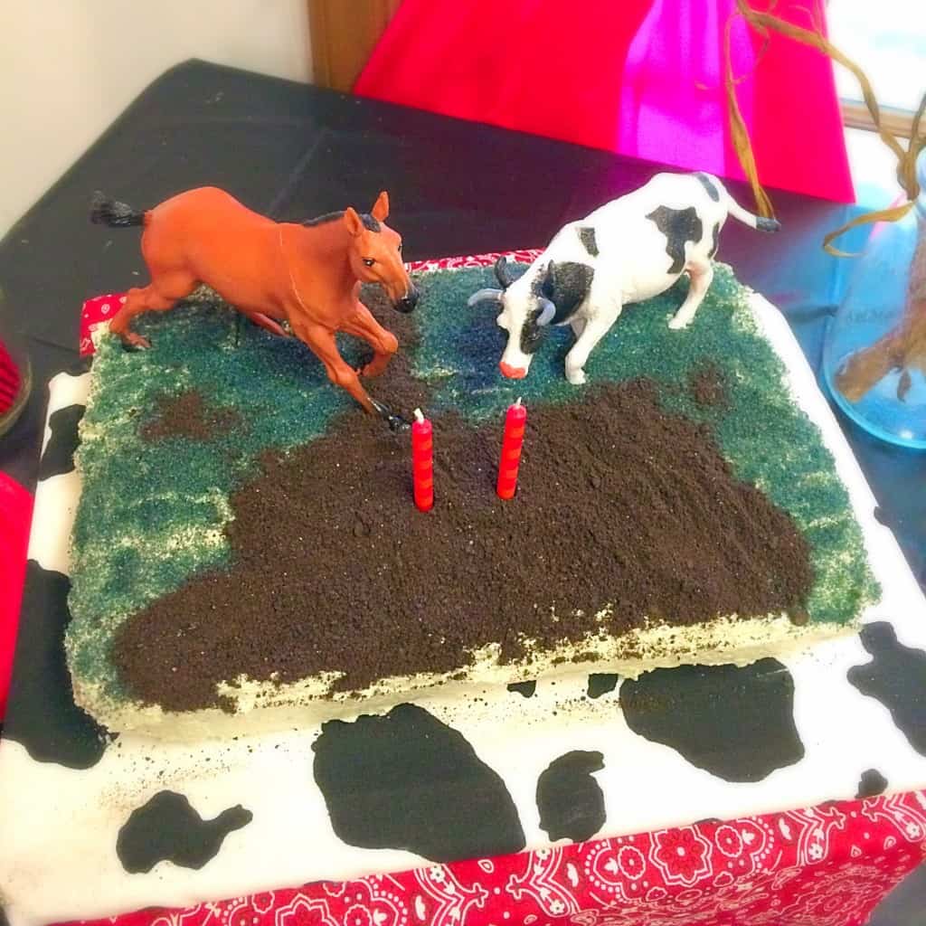 Farm Animal Birthday Party. Decoration ideas, farm food, activity, and fun drinks! Cake