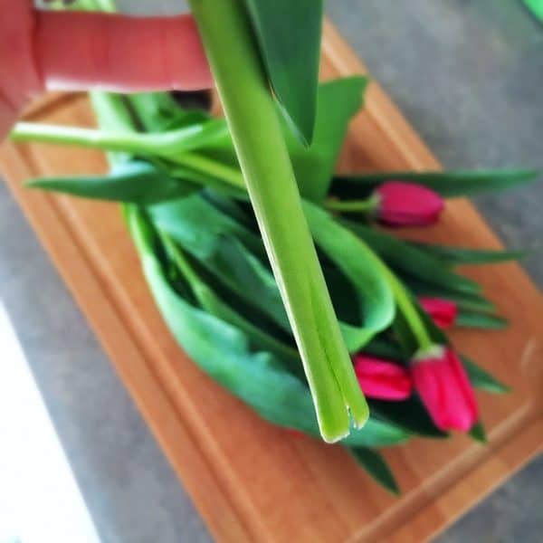 How To Keep Fresh Cut Flowers Alive Longer Twitchetts