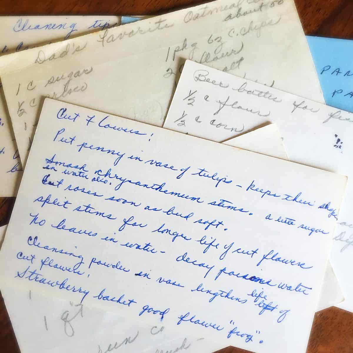 How To Keep Fresh Cut Flowers Alive Longer Twitchetts