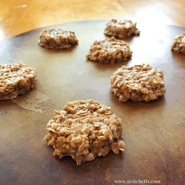 Chocolate Oatmeal Thumbprint Cookies Healthy Cookies for Kids