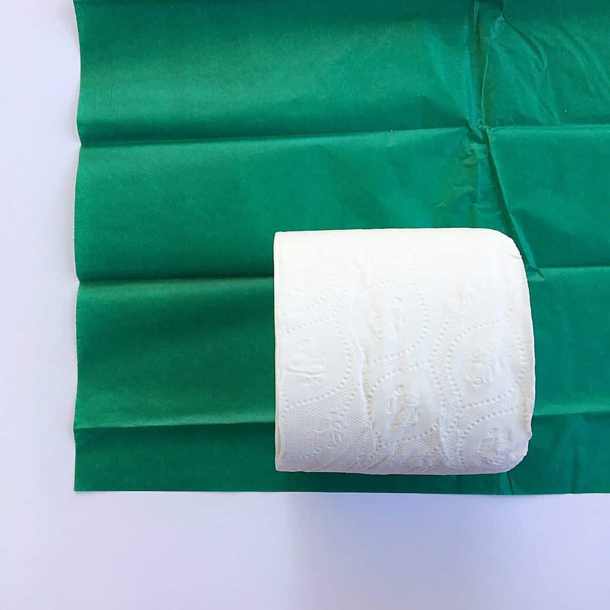 Toilet Paper Rolls For Guests A Simple Bathroom Hack Twitchetts