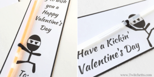 Ninja Valentines - Printable Valentines for Boys and Girls! - Twitchetts