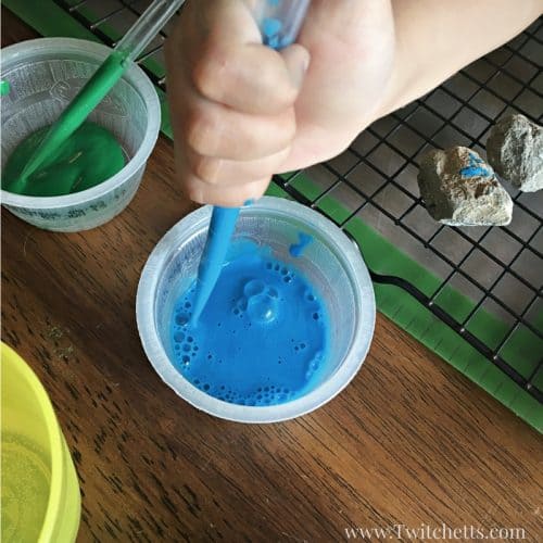 Stone painting is a great way to add earth day decorations to your class or home. Earth day for kids can be fun when painting on rocks!