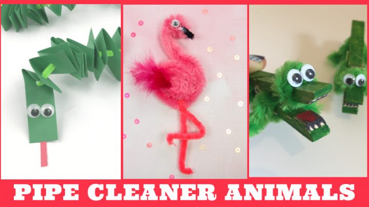 Several images of pipe cleaner animals. Text reads 