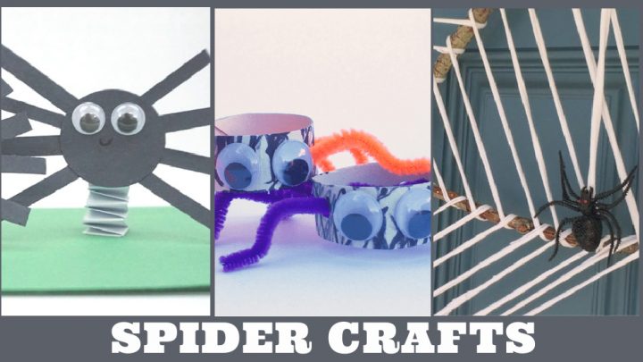 Images of spider crafts. Text Reads 