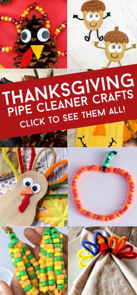 Thanksgiving crafts made with pipe cleaners. Text Reads "Thanksgiving Pipe Cleaner Crafts"
