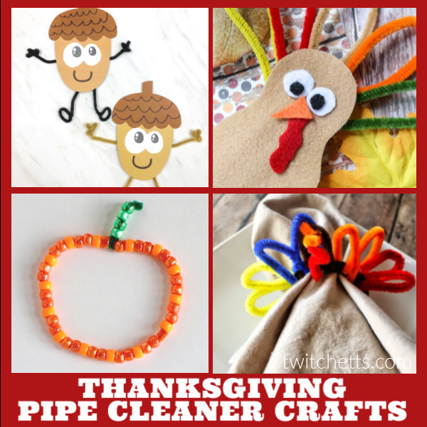 8 Fun Thanksgiving Pipe Cleaner Crafts for kids to make - Twitchetts