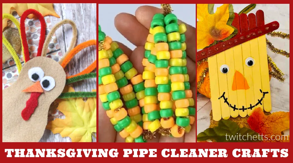 Thanksgiving crafts made with pipe cleaners. Text Reads "Thanksgiving Pipe Cleaner Crafts"