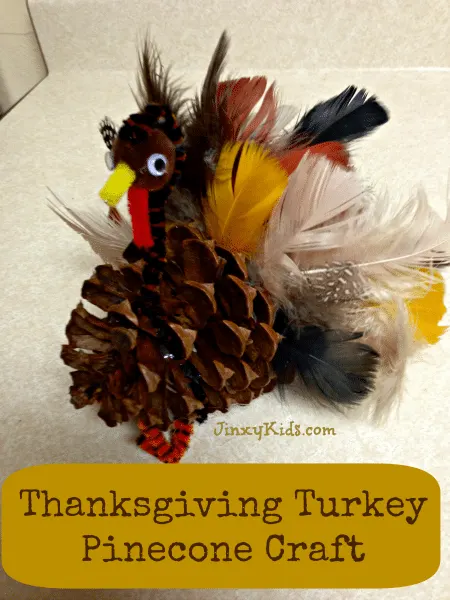 8 Fun Thanksgiving Pipe Cleaner Crafts for kids to make - Twitchetts