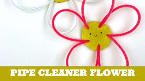 Flowers made from pipe cleaners and cardboard. Text reads "Pipe Cleaner Flower"