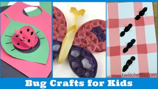 Images of bug crafts. Text reads 